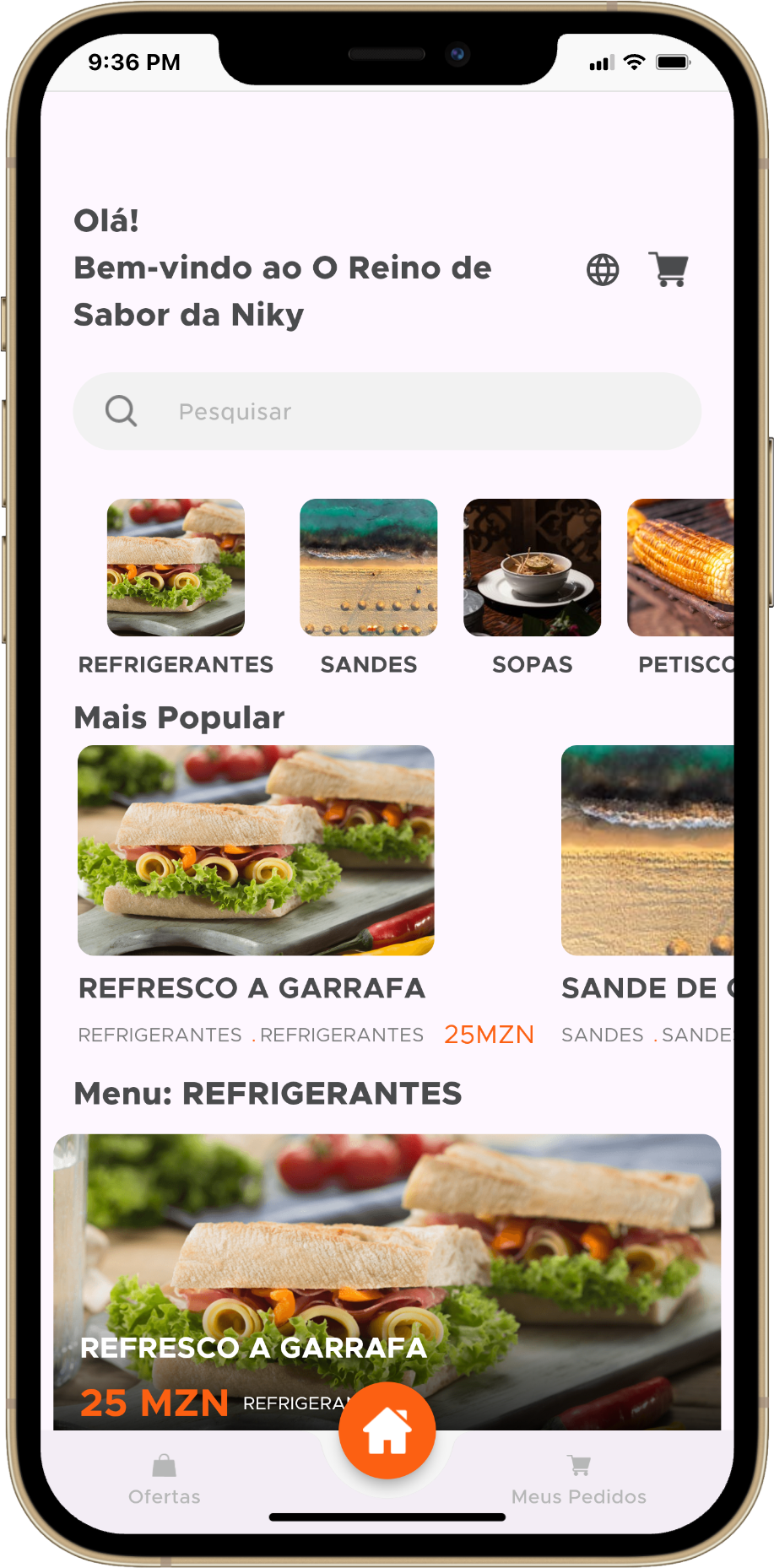 iPhone 12 Pro Max - App Manna Software 1